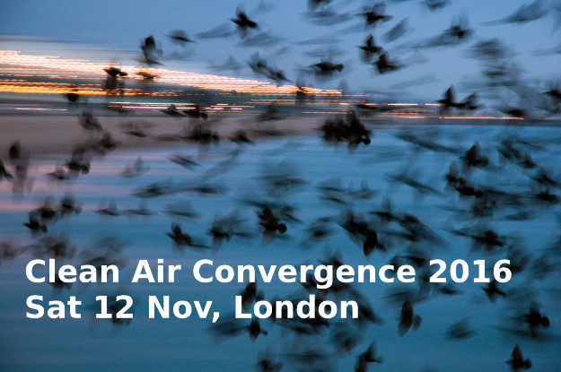 Starlings off Brighton Pier, November 2010. Image by James Oliver. (License CC BY-NC-SA 2.0)